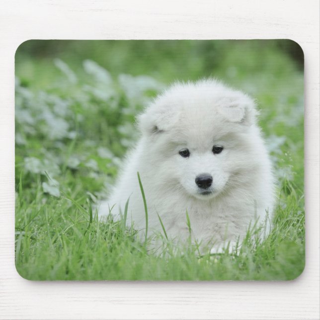 Samoyed puppy mouse pad (Front)