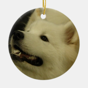 Samoyed Puppy Ornament