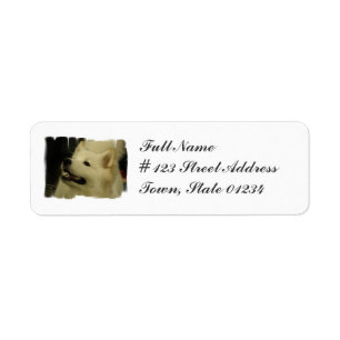 Samoyed Puppy Return Address Mailing Label Return Address Label