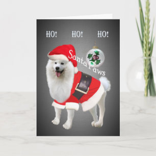 Samoyed Santa paws  Ho Ho Ho Cards