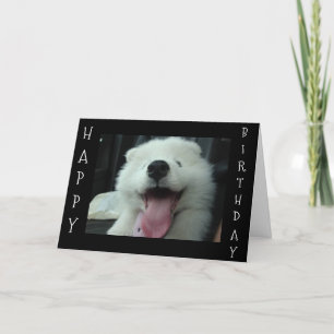 SAMOYED SAYS SAVE ME CAKE/I LOVE U BIRTHDAY WISH CARD