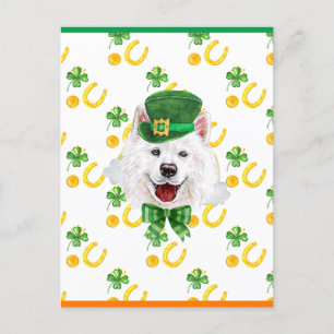 Samoyed Shamrock St. Patricks Day Holiday Postcard