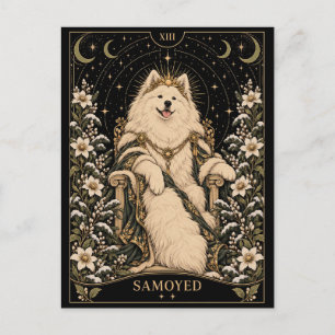 Samoyed, Starlit Tarot Art Postcard
