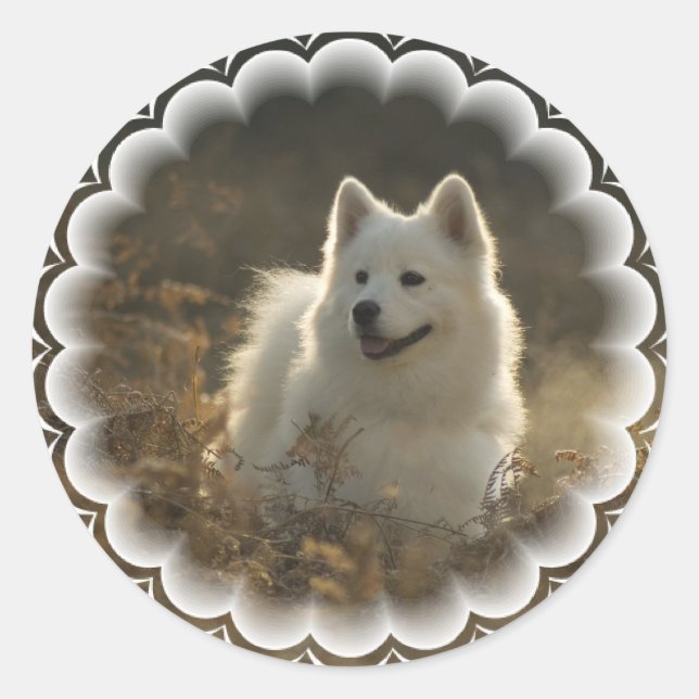 Samoyed Stickers (Front)