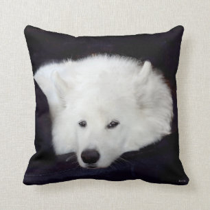 Samoyed Throw Pillow:Choice of Material, Colour Cushion