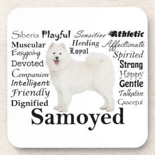 Samoyed Traits Coaster Set