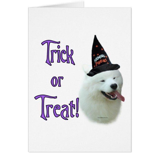 Samoyed Trick (Front)