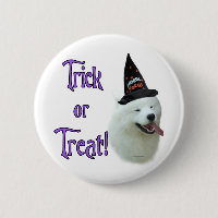 Samoyed Trick