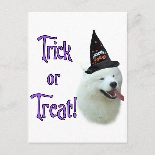Samoyed Trick Postcard (Front)