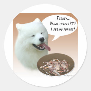 Samoyed Turkey Classic Round Sticker