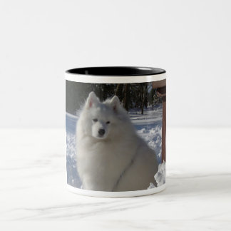 samoyed Two-Tone coffee mug