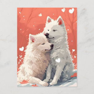 Samoyed Valentine's day Postcard