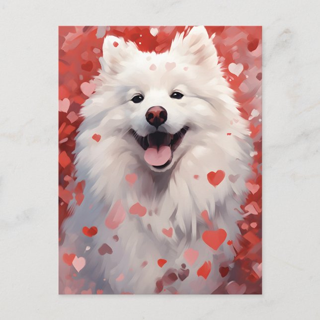Samoyed Valentines day Postcard (Front)