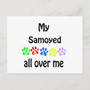 Samoyed Walks Design Postcard