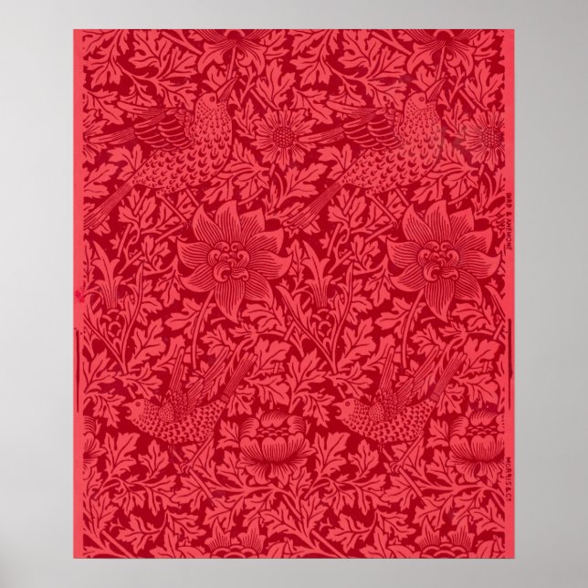 Sample of Bird, Anemone Wallpaper by Morris Poster (Front)