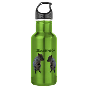 Sampson Name With Aussie Quokkas, Water Bottle