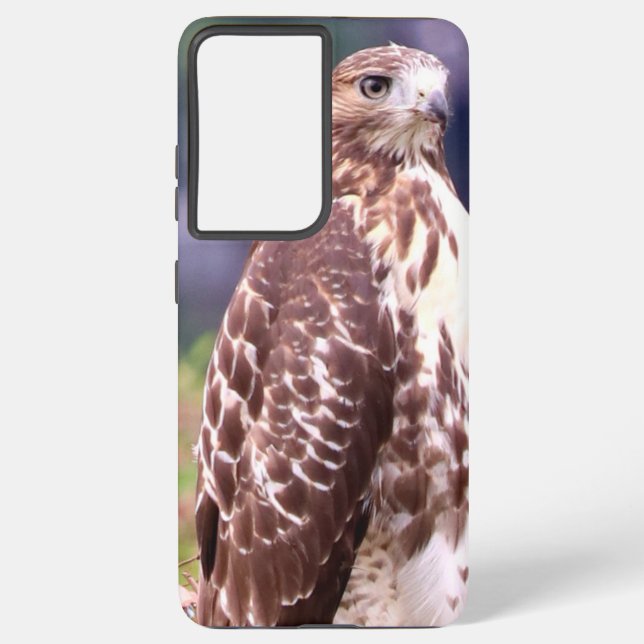 Samsung Red Tail Hawk Galaxy S21+ Case (Back)