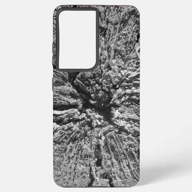 SAMSUNG S21+ Phone Case ART AND DESIGN (Back)