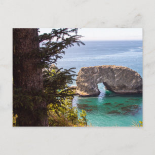 Samuel Boardman Cost Line Oregon Postcard