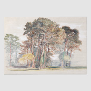 Samuel Colman   The Pine Trees of El Monte... Tissue Paper