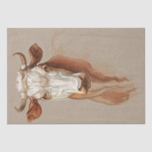 Samuel Colman   Two Studies of Cattle - 1876 Tissue Paper