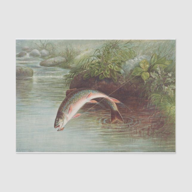 Samuel Kilbourne | Leaping Brook Trout - 1874 Tissue Paper (Front)