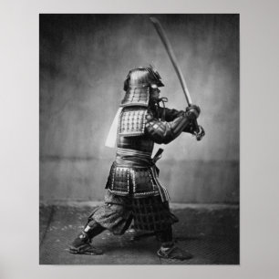 Samurai Stance Poster