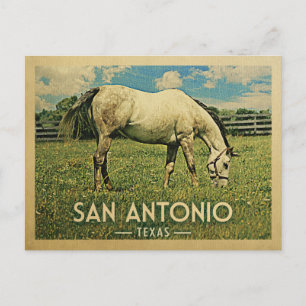 San Antonio Texas Horse Farm - Vintage Travel Postcard