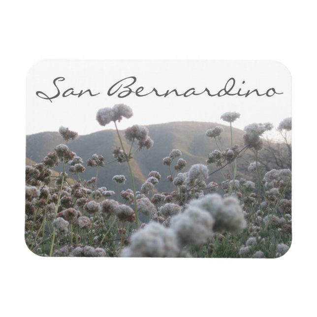 San Bernardino Magnet (Horizontal)