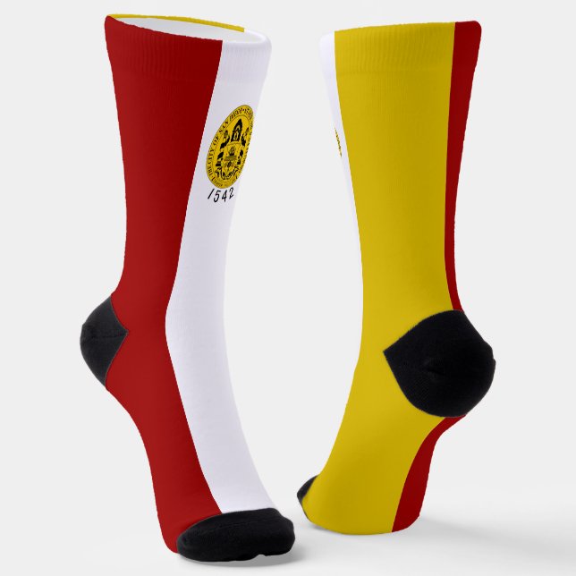 San Diego (California) city flag Socks (Angled)
