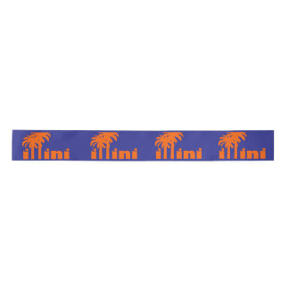 San Diego Illini Ribbon Satin Ribbon