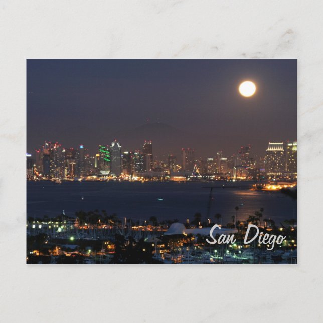 San Diego night skyline Postcard (Front)