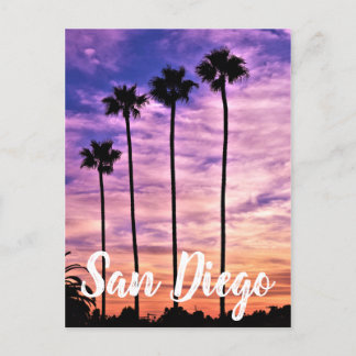 San Diego Palm Tree Sunset Holiday Postcard
