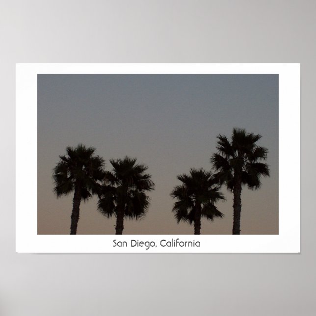 San Diego Poster (Front)