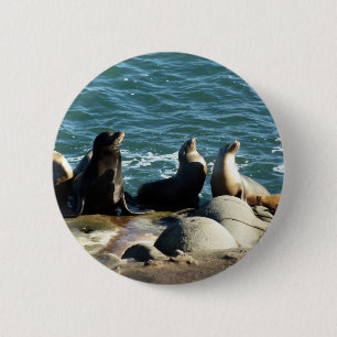 San Diego Sea Lions 6 Cm Round Badge