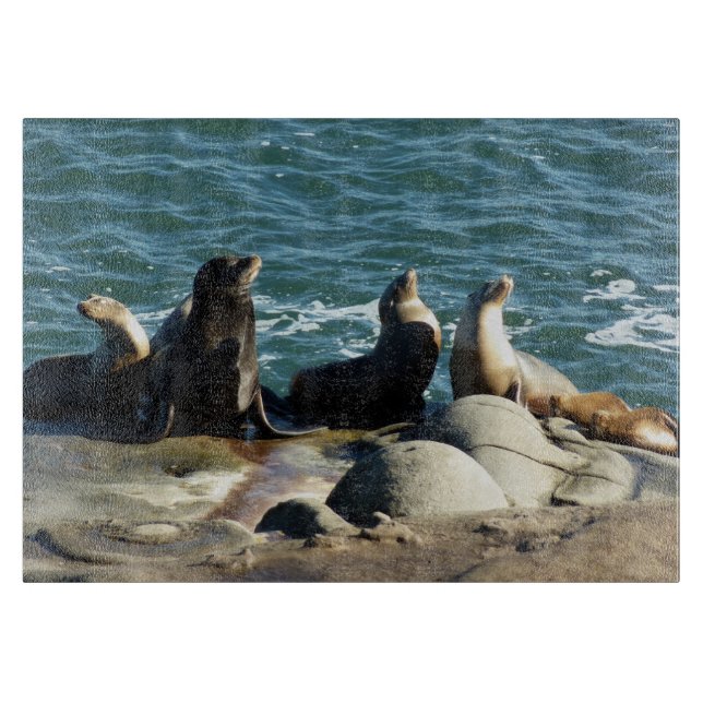 San Diego Sea Lions Cutting Board (Front)