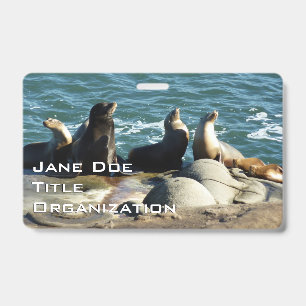 San Diego Sea Lions ID Badge