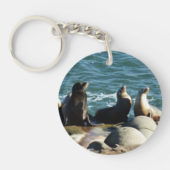 San Diego Sea Lions Key Ring (Front)