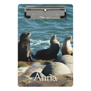 San Diego Sea Lions Mini Clipboard