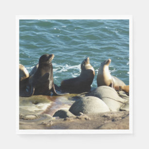 San Diego Sea Lions Napkin