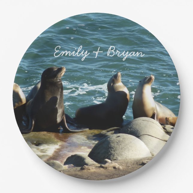 San Diego Sea Lions Paper Plate (Front)