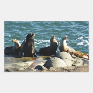 San Diego Sea Lions Rectangular Sticker