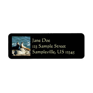 San Diego Sea Lions Return Address Label