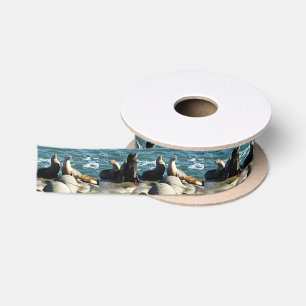 San Diego Sea Lions Satin Ribbon