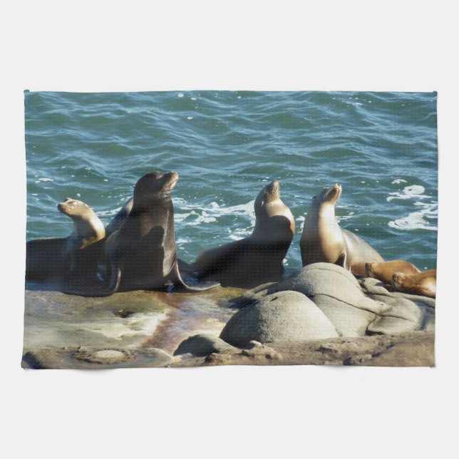 San Diego Sea Lions Tea Towel (Horizontal)