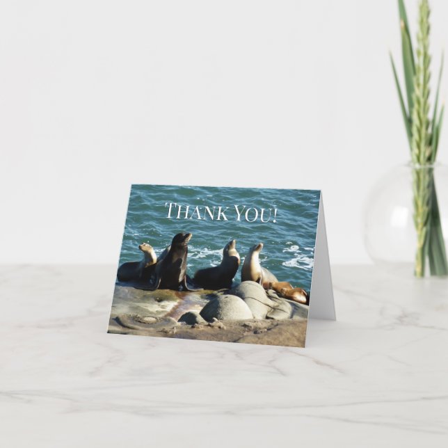 San Diego Sea Lions Thank You Card (Front)