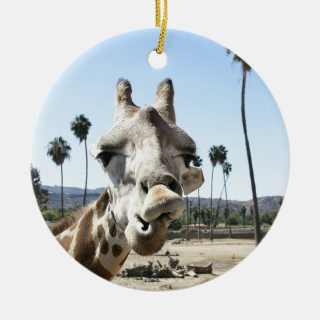 San Diego zoo Ceramic Ornament (Front)