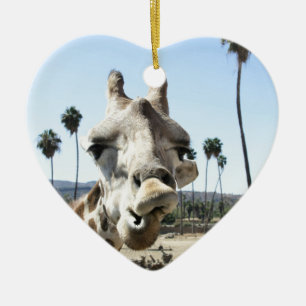 San Diego zoo Ceramic Ornament