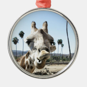 San Diego zoo Metal Ornament