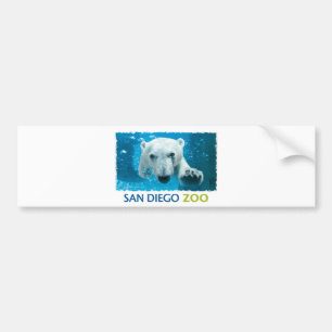San Diego Zoo Polar Bear Bumper Sticker